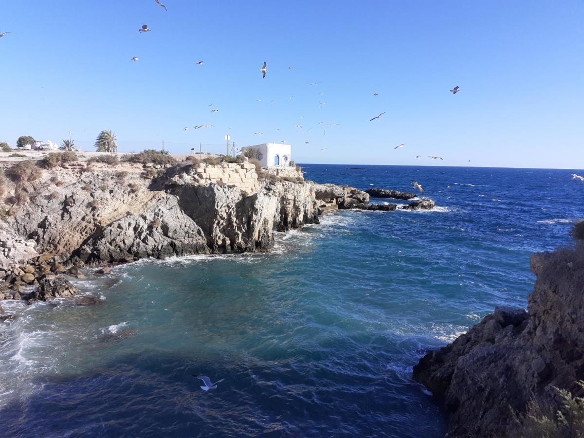 Apartamento Santa Pola, En Playa Del Tamarit Con Piscina. מראה חיצוני תמונה