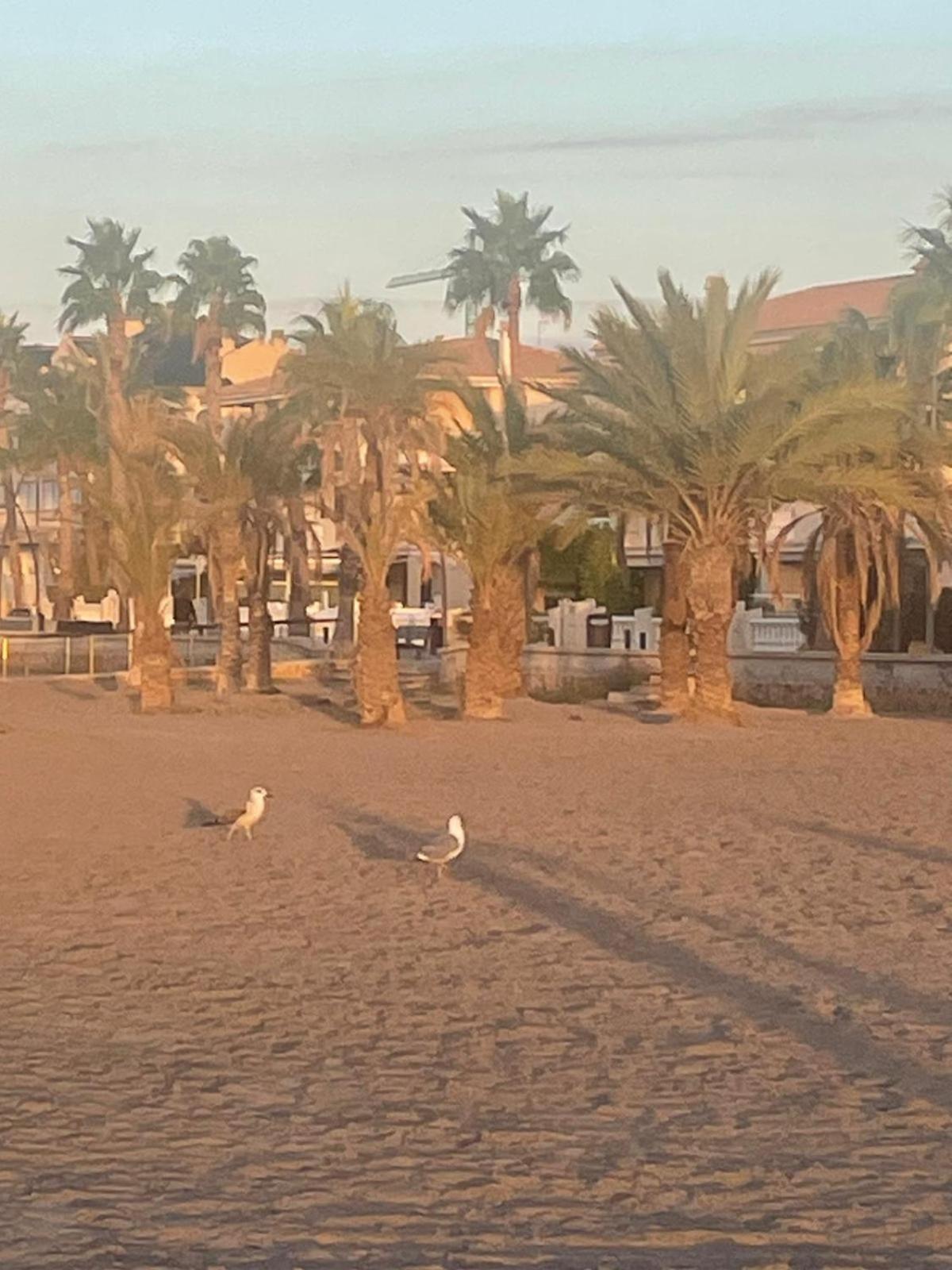 Apartamento Santa Pola, En Playa Del Tamarit Con Piscina. מראה חיצוני תמונה